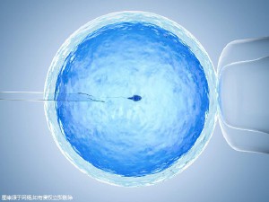 首席专家